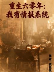 重生六零年，我有情报系统