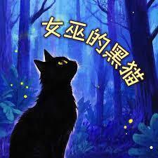 百世巫师：我能抽取天赋